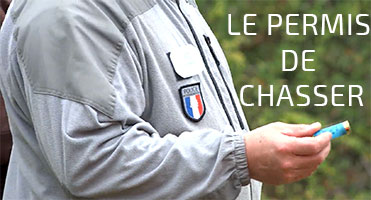 Tout savoir sur le Permis de Chasser