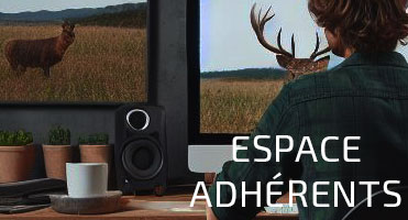 Documents, textes et arrêtés