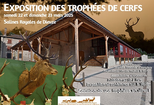 expo_cerf_FB