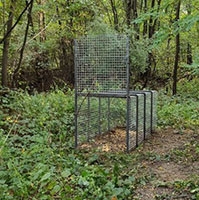 F_P_Sanglier