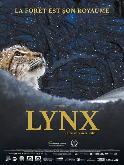 lynx
