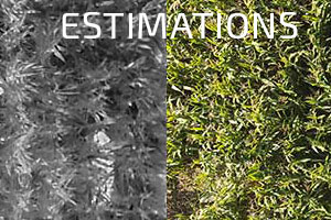 estimer les dégâts de sanglier