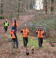 Formation décennale