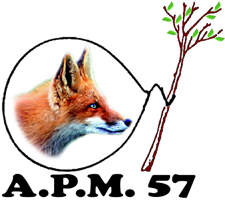 LOGOAPM57