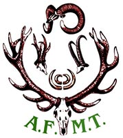 afmt
